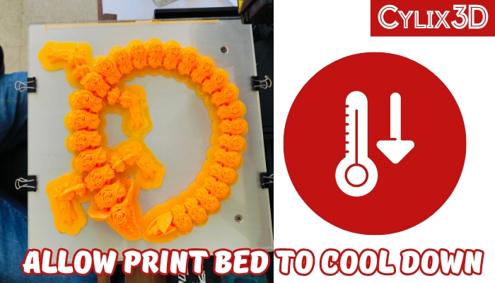 Allow Print Bed To Cool Down
