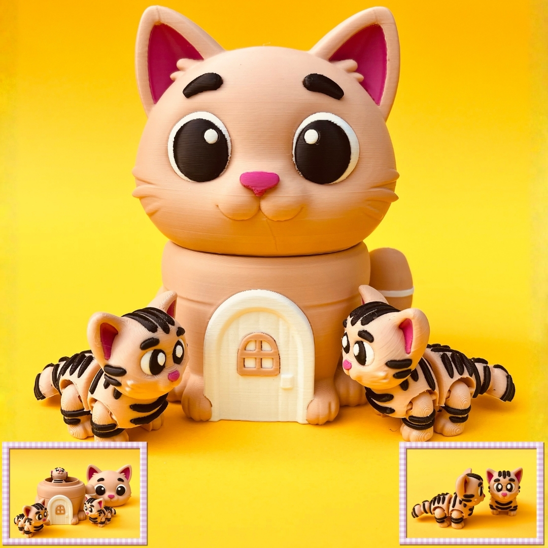 Flexi Cat And House Box